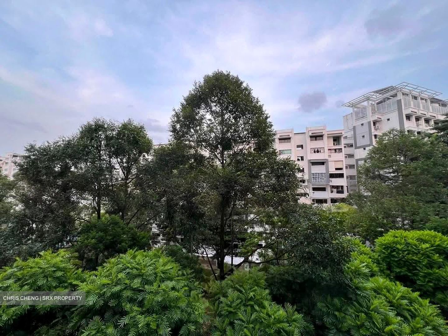 Blk 656 Woodlands Ring Road (Woodlands), HDB Executive #621763541